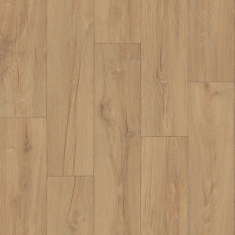 AERO MILKYWAY 1; MILKYWAY 2; MILKYWAY 3