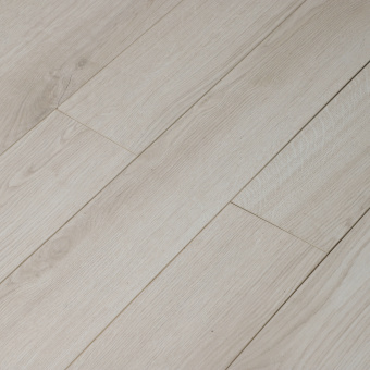 16141 Дуб Робусто