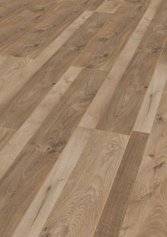 3665 Дуб Роузмонт