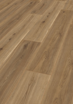 4689 Дуб Сьерра золото