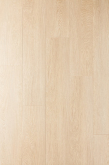 CXI146 Дуб марципановый