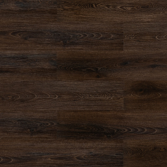 2210 Дуб африканский