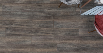  SF61 Дуб Бремен