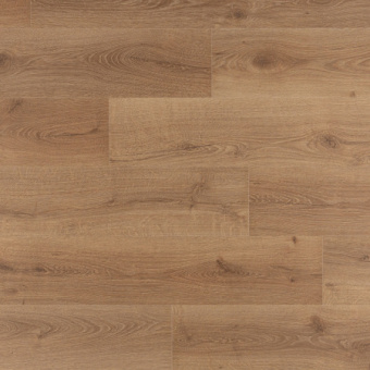 IM8629 Дуб Закатный