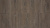 LM-19 Дуб Тиволи / Tivoli Oak   