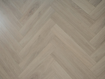 513 Дуб Малтон