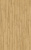 D40792 Дуб Тахо