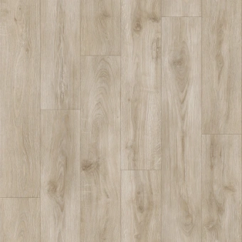 IDYLLE NOVA  MOTION 1; MOTION 2; MOTION 3