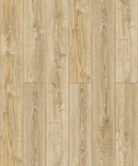 2987 Дуб Ретушированный