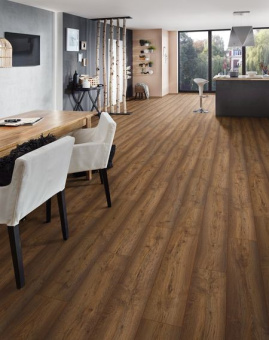 8274 Дуб Модена