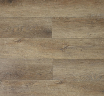 U1966 Дуб Бендиго 