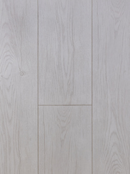 3166 Дуб Белиз