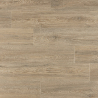 IMU 8467 Дуб Кедровый