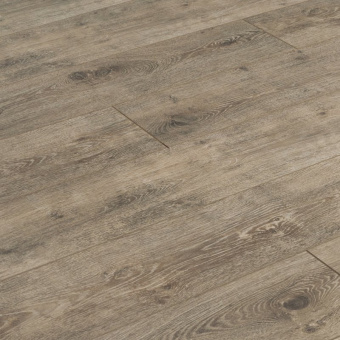 ID71 Дуб Дега