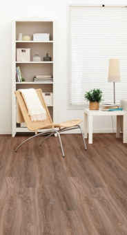 8072 Дуб Ностальгия