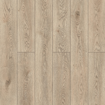 59747 Дуб Мумбаи