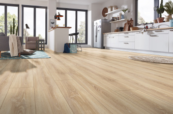 4164 Дуб деревенский