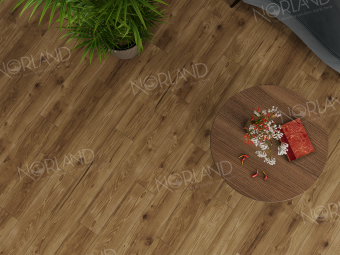 LF302-18 Дуб Корсика