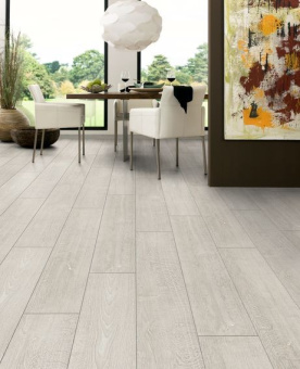 K031 Дуб Атлас