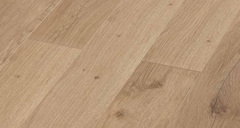 LM24 Дуб Салентино