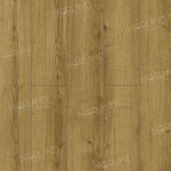 LF301-17 Дуб Фанэн