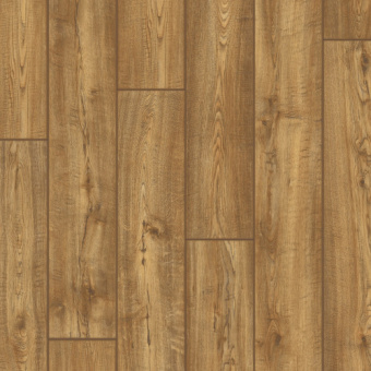 IMU1994 Дуб южный