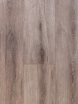 3304 Эвкалипт