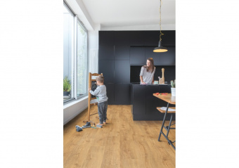 AVMPU40088 Дуб осенний медовый