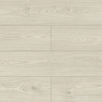 50557 Каштан Ливада