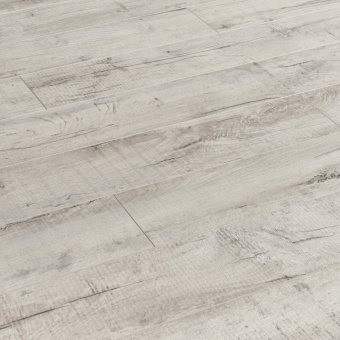 ID98 Дуб Тайм