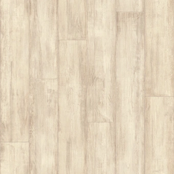 JUNIOR TERPSICHORE 1