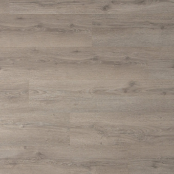 CLH 5791 Дуб песочный греш