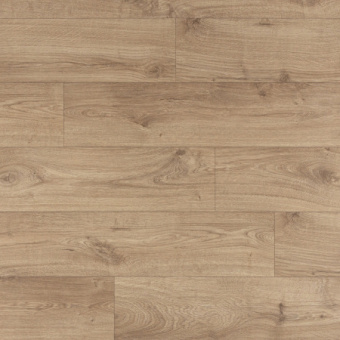 UWH 8634 Дуб ивовый