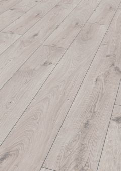 3179 Дуб Эверест белый