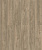 D50137 AF Дуб Мендель