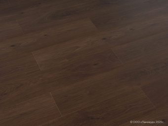 820 Дуб Бурый