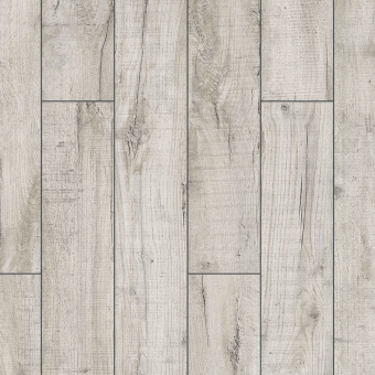 ID77 Дуб Гольбейн 