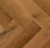 LF303-13 Дуб Помона