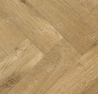 LF304-09 Дуб Хайнан