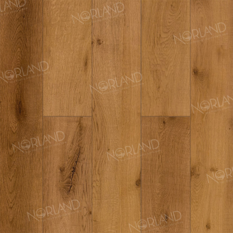 LF301-13 Дуб Помона