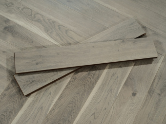 519 Дуб Оксфорд