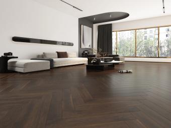 517 Дуб Винчестер