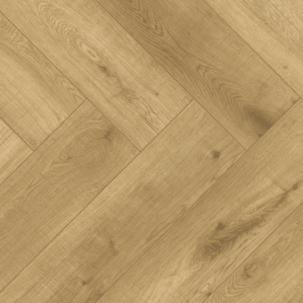 LF306-09 Дуб Хайнан 