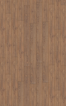 3077 Дуб Эверест бронза