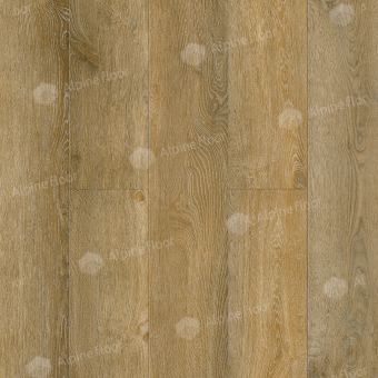 ЕСО5-34 ДУБ ИМПЕРСКИЙ