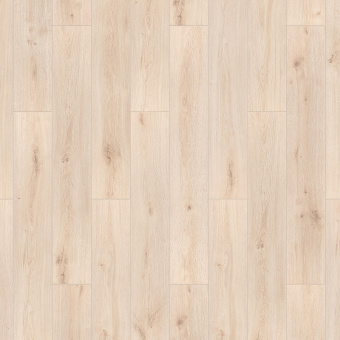 Дуб Путорана