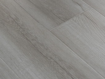 2416 Дуб Дымчатый