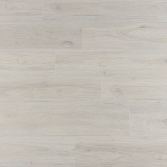 IM8465 Дуб Зимний