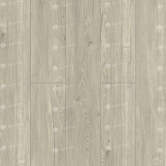 ЕСО6-8 Секвойя Снежная