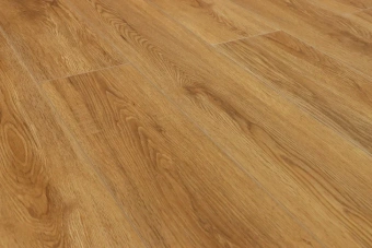 Дуб Медовый